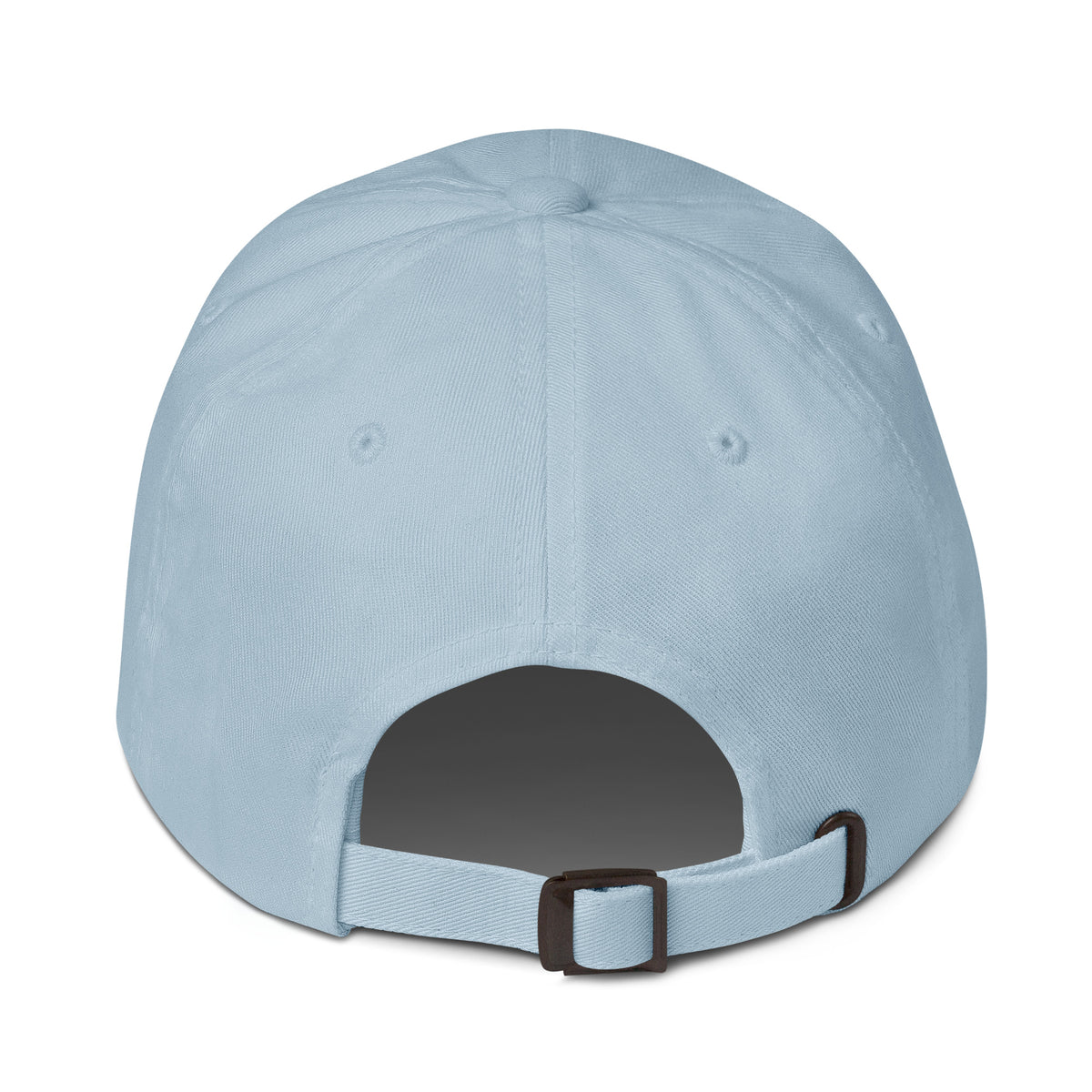 light blue cap on a white background, back view