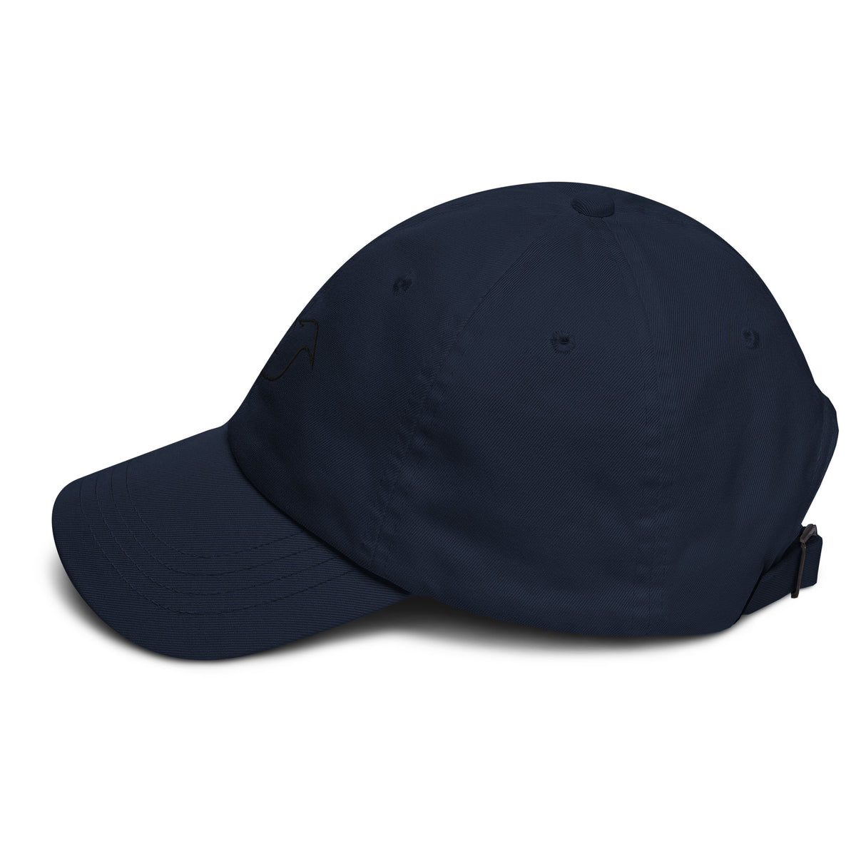 navy cap on a white background, left view