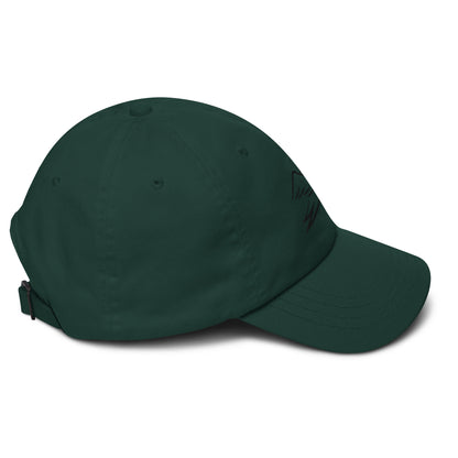 spruce cap on a white background, right view