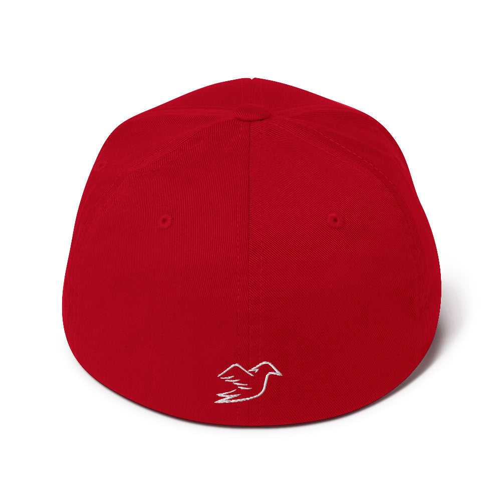 red cap on a white background, back view