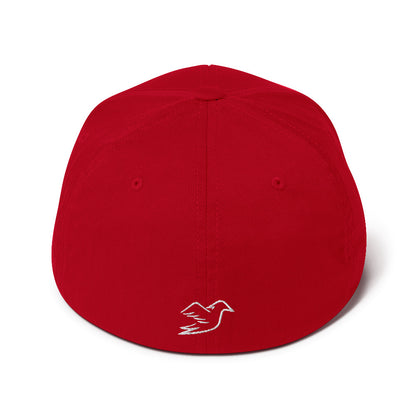 red cap on a white background, back view