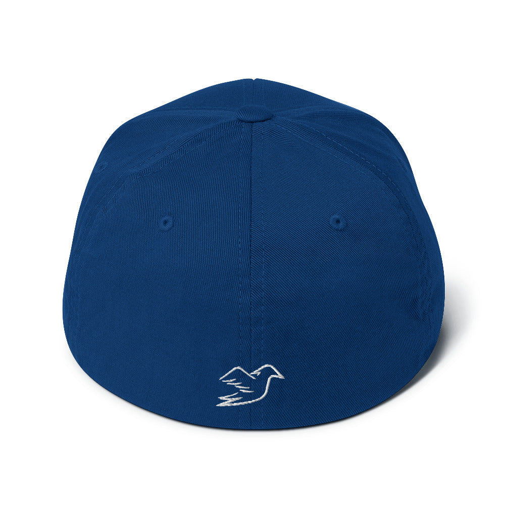 royal blue cap on a white background, back view